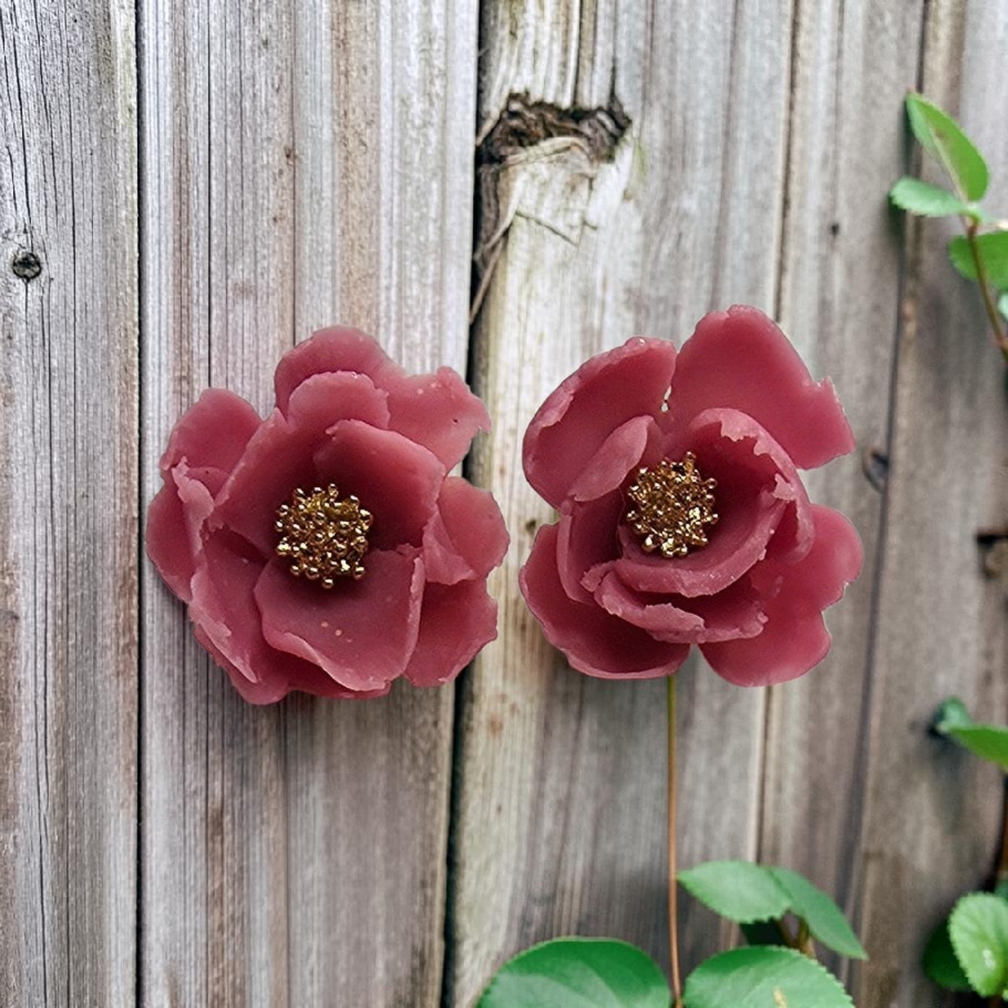 Soft pink flower