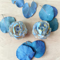 Blue Whisper Rose studs