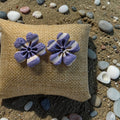 Blue and white flower